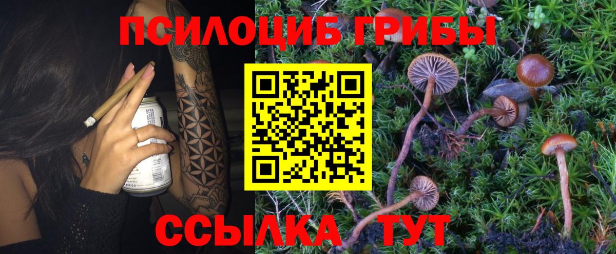 Галлюциногенные грибы мухоморы Строитель
